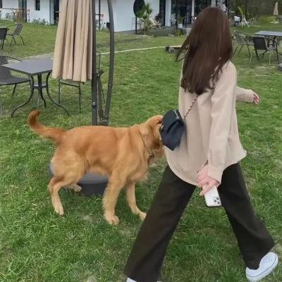 萨德侯爵：瑞斯丁娜